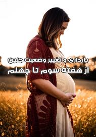 دانلود کتاب بارداری و تغییر وضعیت جنین از هفته سوم تا چهلم