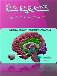 دانلود کتاب تصاویر مغز انسان ( بخش های مختلف با نام گذاری لاتین )