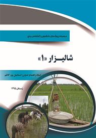 دانلود کتاب شالیزار 1: مجموعه پروژه های دانشجویی کارشناسی برنج