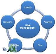 دانلود کتاب مدیریت و کنترل ریسک در پروژه های IT (مباحث مربوط به طراحی سایت)